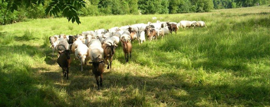 Ferme des Hourcades