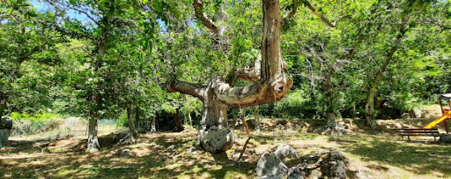Parco delle Forme di Pietra