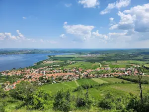 Děvičky