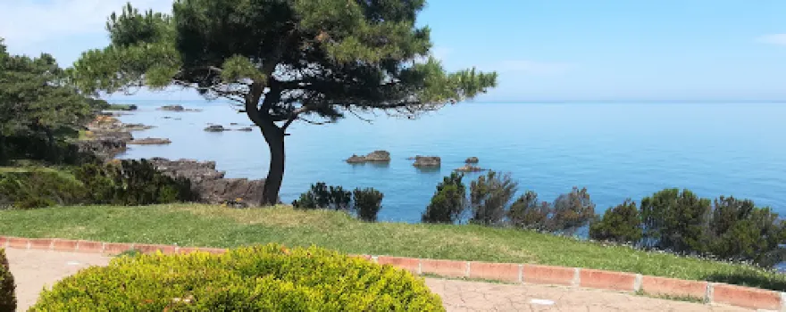Ünye Çamlık Koyu