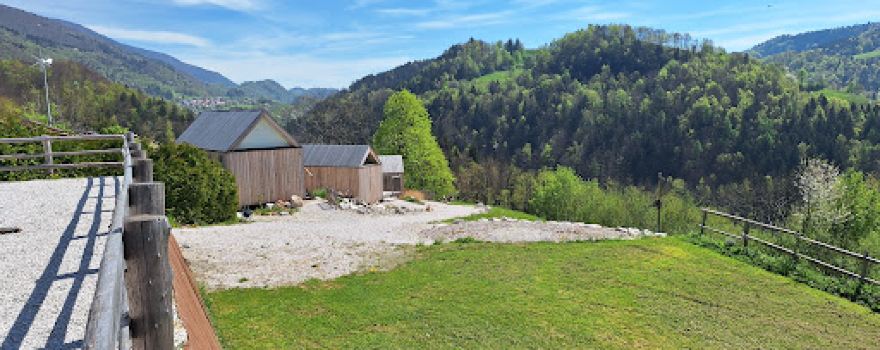 Kamp Golice-GoLifeCenter