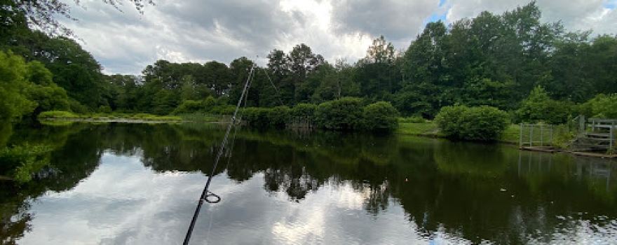 Rowands Pond Wildlife Management Area