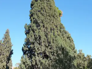 Kalabagh Museum