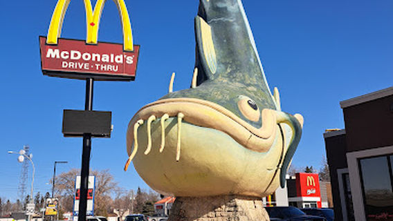 Chuck the Channel Cat