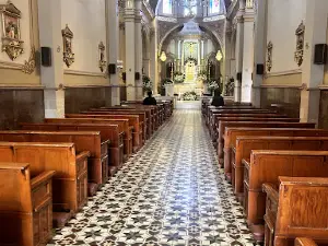 Centro de Tepatitlán de Morelos