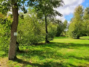 Natur & City Camping Ellwangen