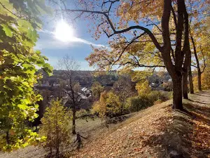 Wine Hill of Sabile