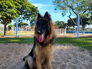 Praça dos Burgueses