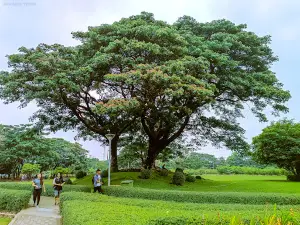 Thuwanna park