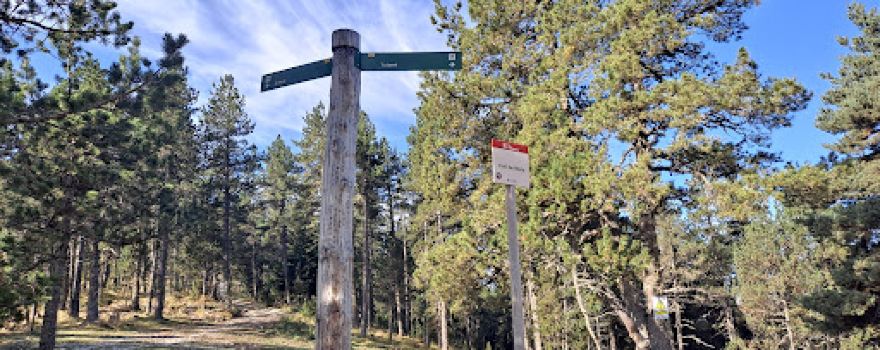 Coll de Mola
