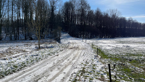 Relais d houchenee (calèche)