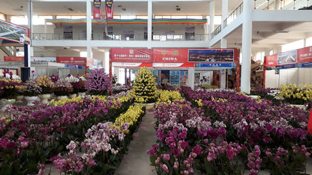 Hội chợ quốc tế Việt - Trung