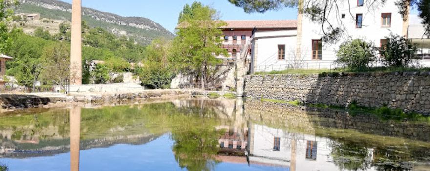 Escape Morella