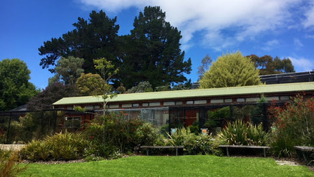 Dunedin Botanic Garden Aviary