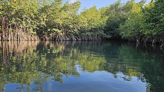 Get Up And Go Kayaking - Jupiter