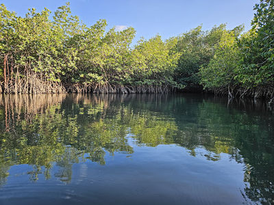 Get Up And Go Kayaking - Jupiter