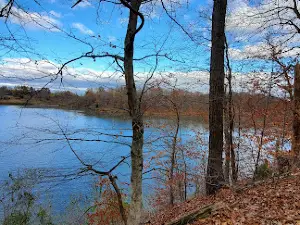 Newton Lake Conservation Area