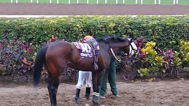 Monterrico Racecourse