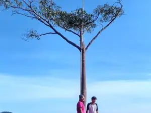 Puncak Kabur Bukit Villa