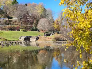 Triple Locks Park