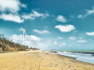 Nuraicholai Casuarina Beach , சவுக்கு தோட்டம் KasaKale