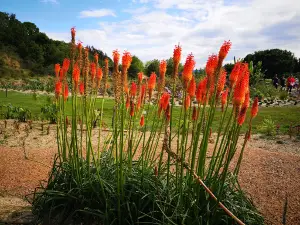 Le Jardin pour la Terre