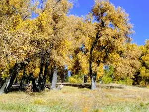 Oliver State Recreation Area