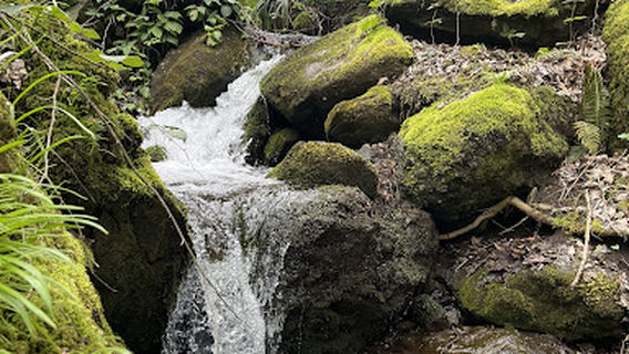Dilman waterfall