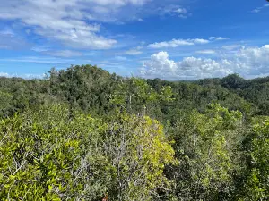 Bosque Estatal de Guajataca