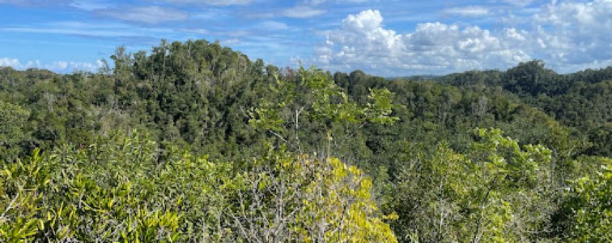 Bosque Estatal de Guajataca
