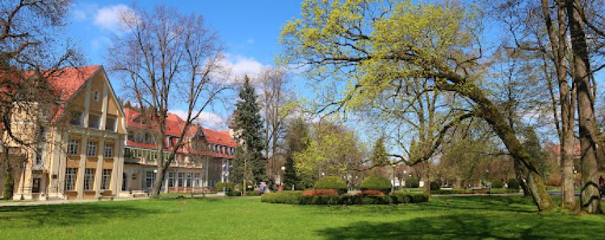 Park Zdrojowy
