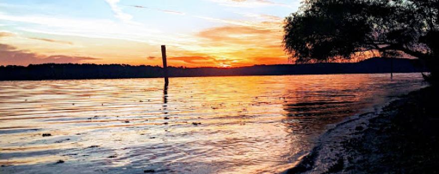 Lake O' the Pines