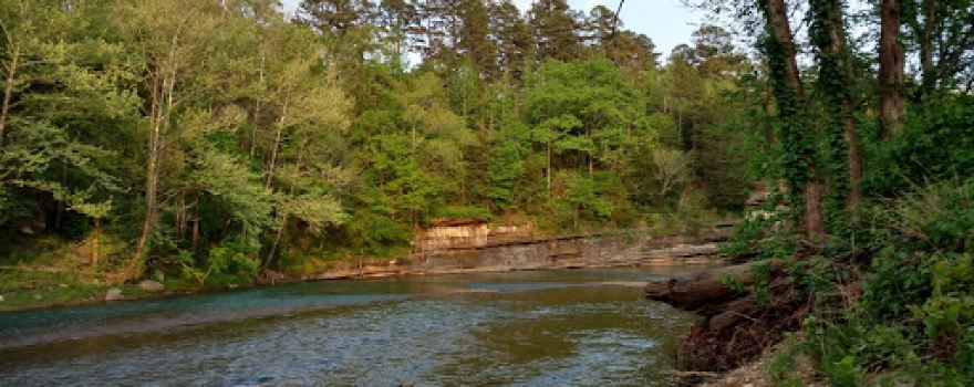 Mill Creek Camp