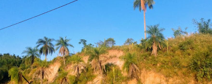 Playa La Marcelina