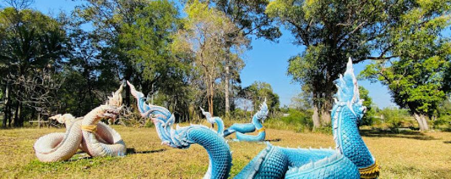 Archaeological Site Dong Muang Toei