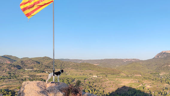 Marçà