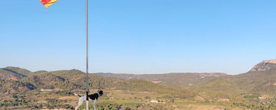 Castell de Marçà