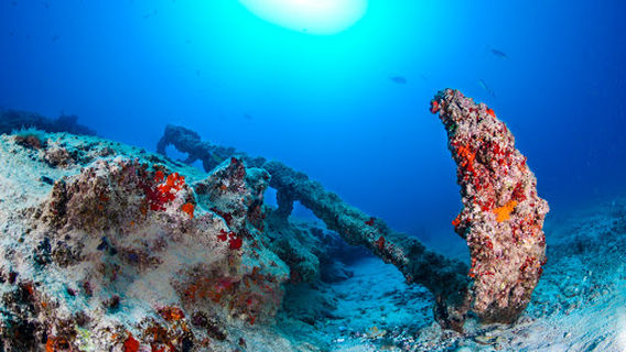 La Graciosa Diving