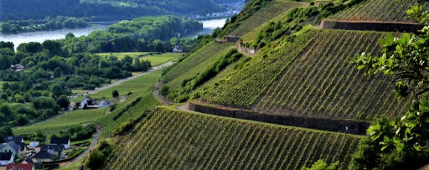 Aussichtspunkt Rheinbrohler Ley