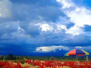 Wisata Taman Bunga R.A