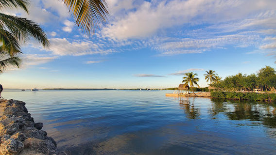 Dolphins Plus Bayside
