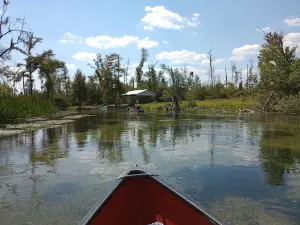 Bear Paw Adventures
