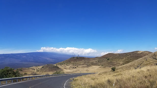 Hilo Forest Reserve (Kaiwiki Sec.)