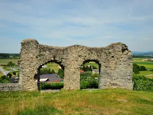 Burgruine Winzer