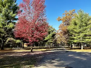 McMullen Memorial County Park