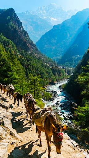 Everest View Point