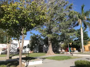 Plaza Lafontaine