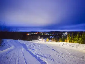 Tower Hill - Lookout & Sliding Hill