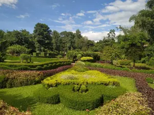 Teak Museum (KFRI, Nilambur)