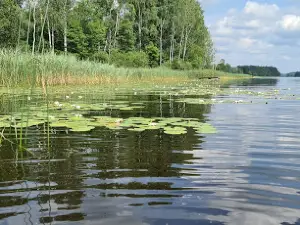 Ozero Viyesites-Ezers